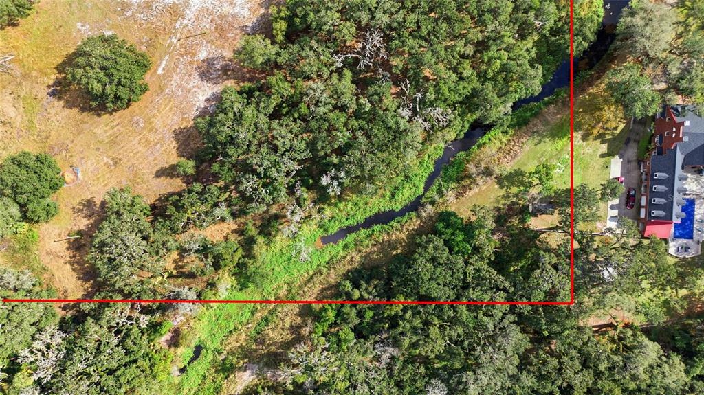 12454 Browns Berry Road Dover, FL 33527 - Photo 10 of 17 a view of a flower garden in a yard