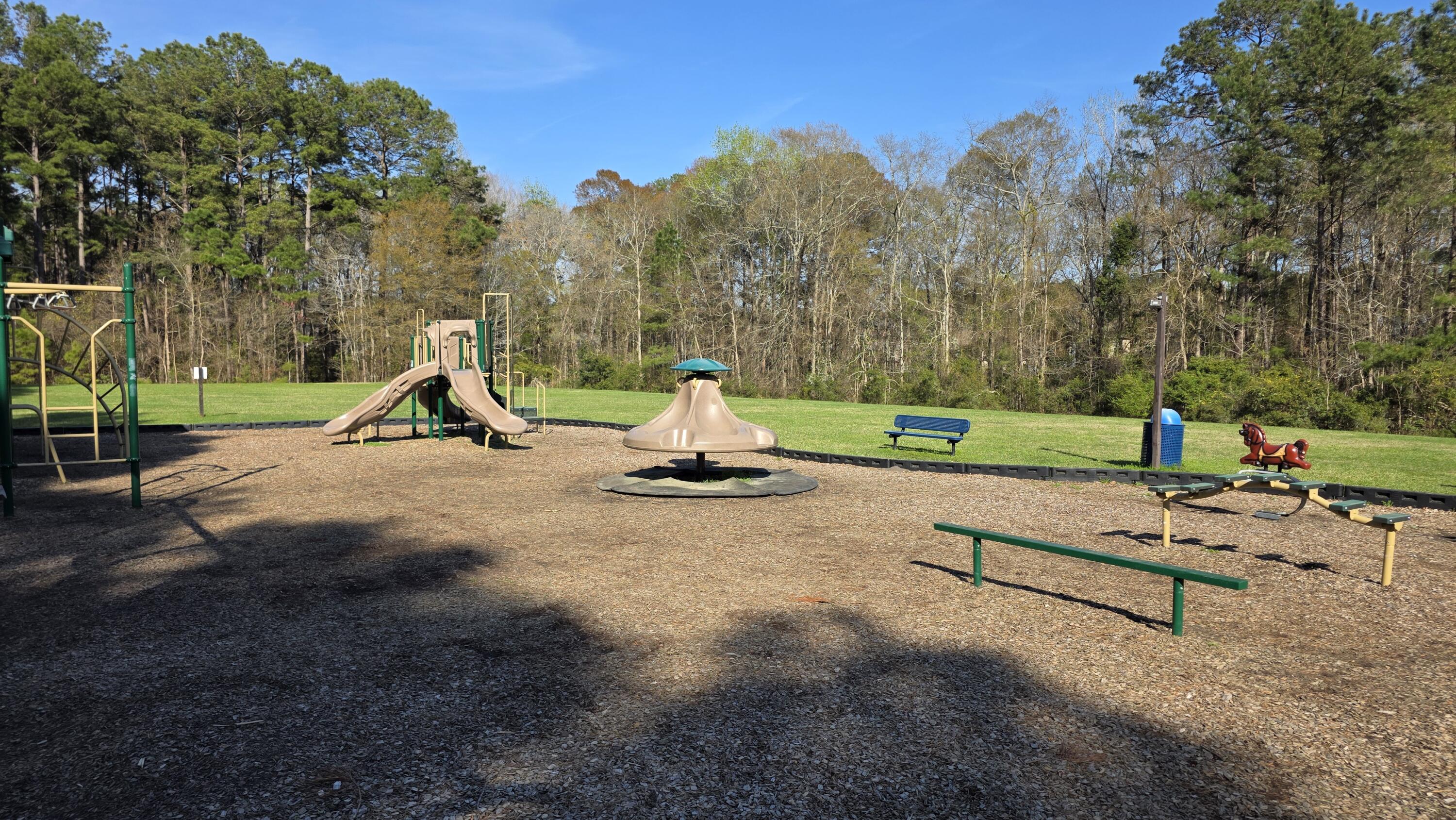210 Sparkleberry Lane Ladson, SC 29456 - Photo 21 of 24 16892