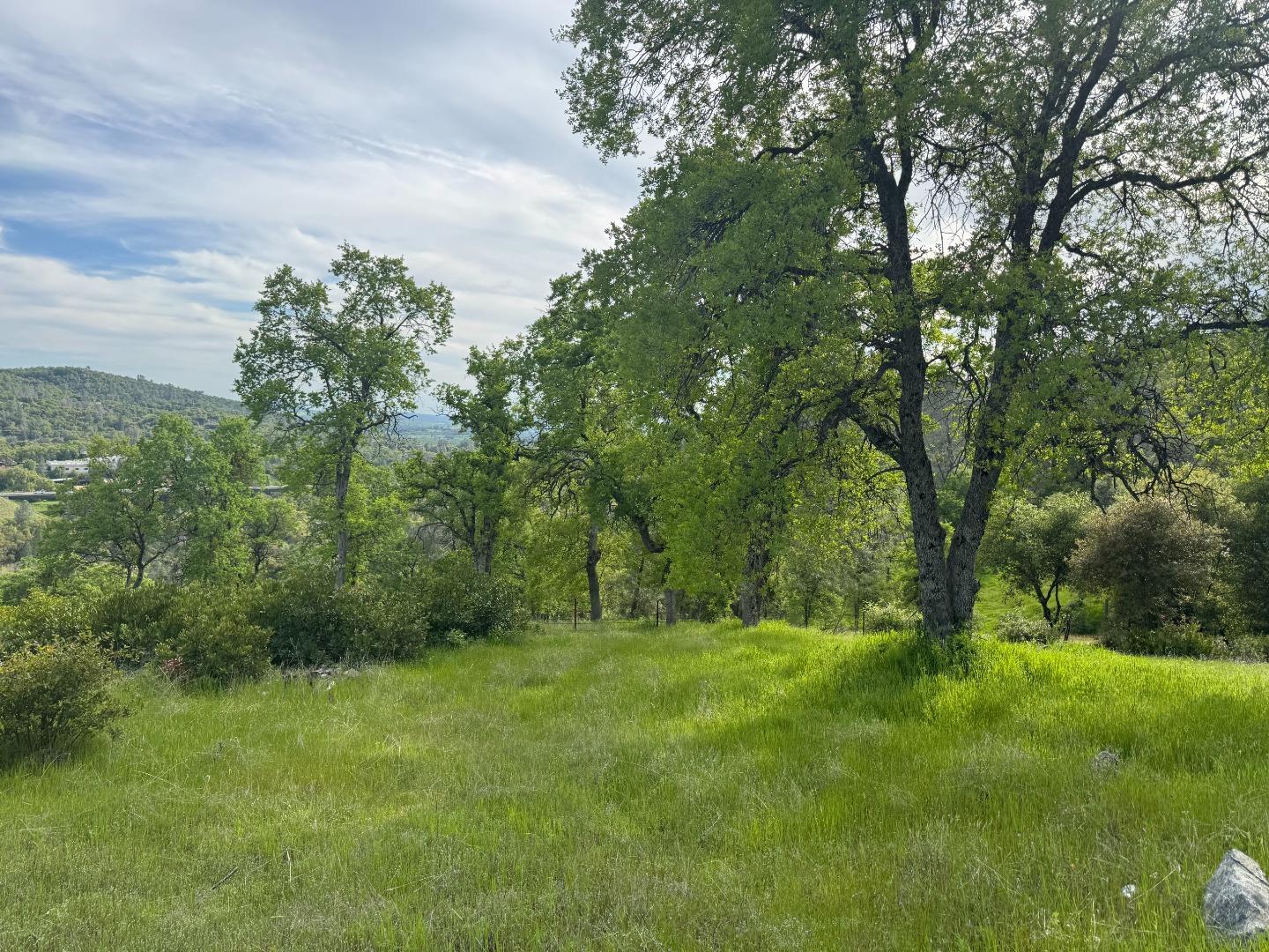 a view of outdoor space with green field and trees