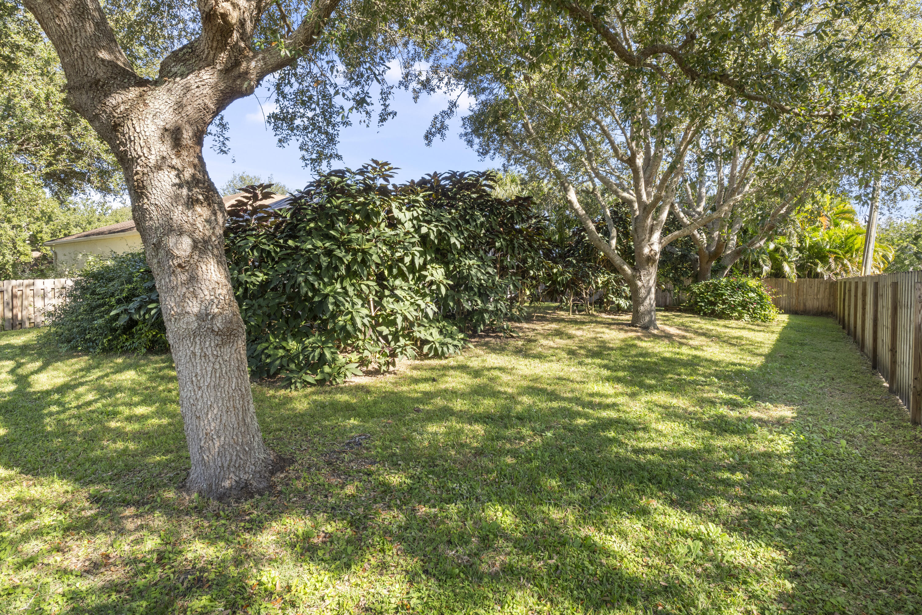 789 Vocelle Avenue Sebastian, FL 32958 - Photo 36 of 37 a view of a tree with a yard