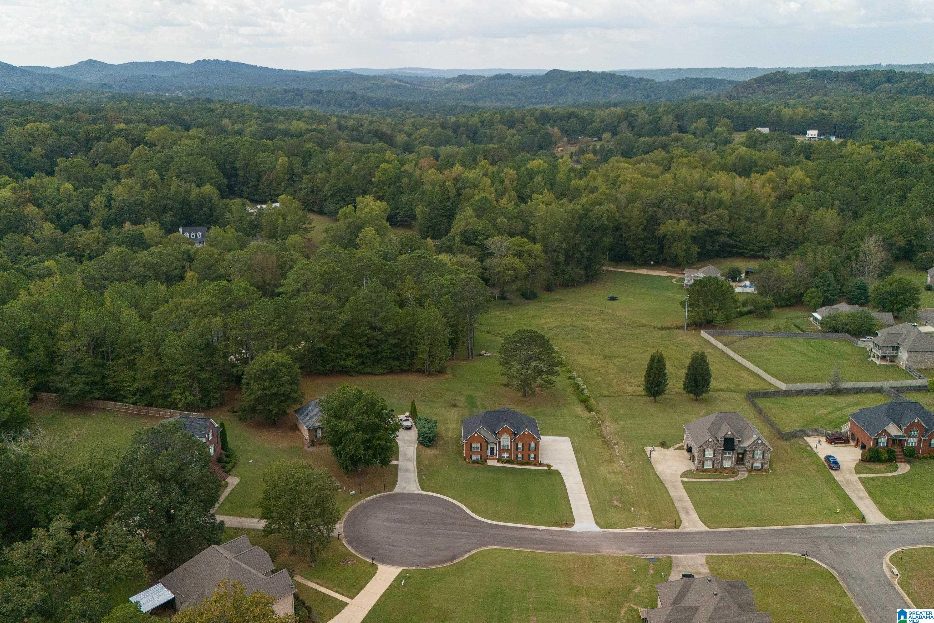 21 Farm Court Springville, AL 35146 - Photo 54 of 67