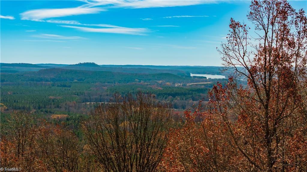 2168 Sierra Trace Road Denton, NC 27239 - Photo 38 of 50