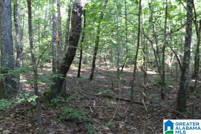 1 Benefield Gap Road Attalla, AL 35954 - Photo 23 of 50