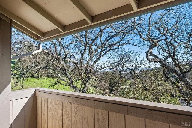 a view of a window and tree