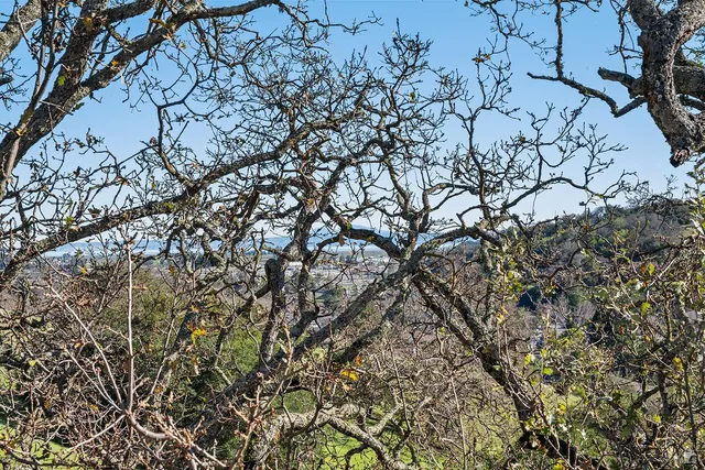 a bathroom with a shower toilet and sink
