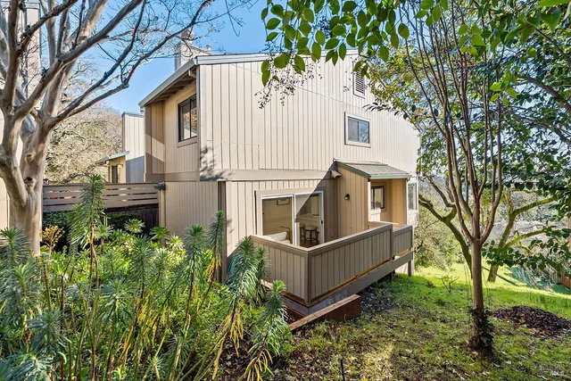 a view of a flower in a garden