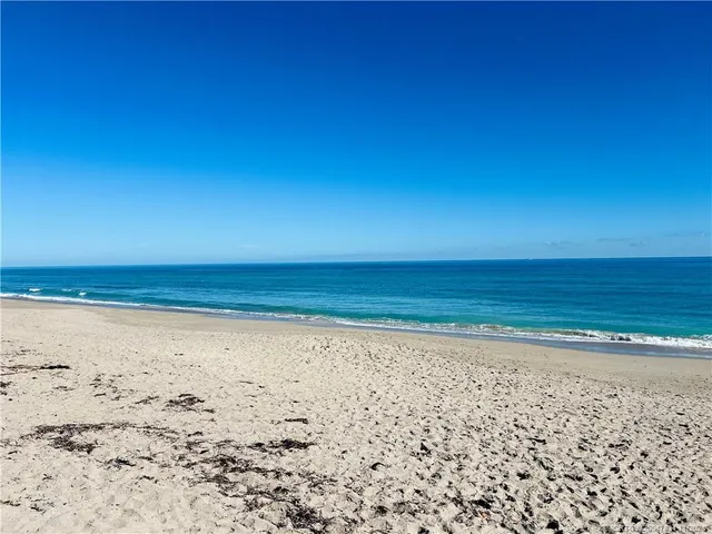 a view of a balcony with a potted plant