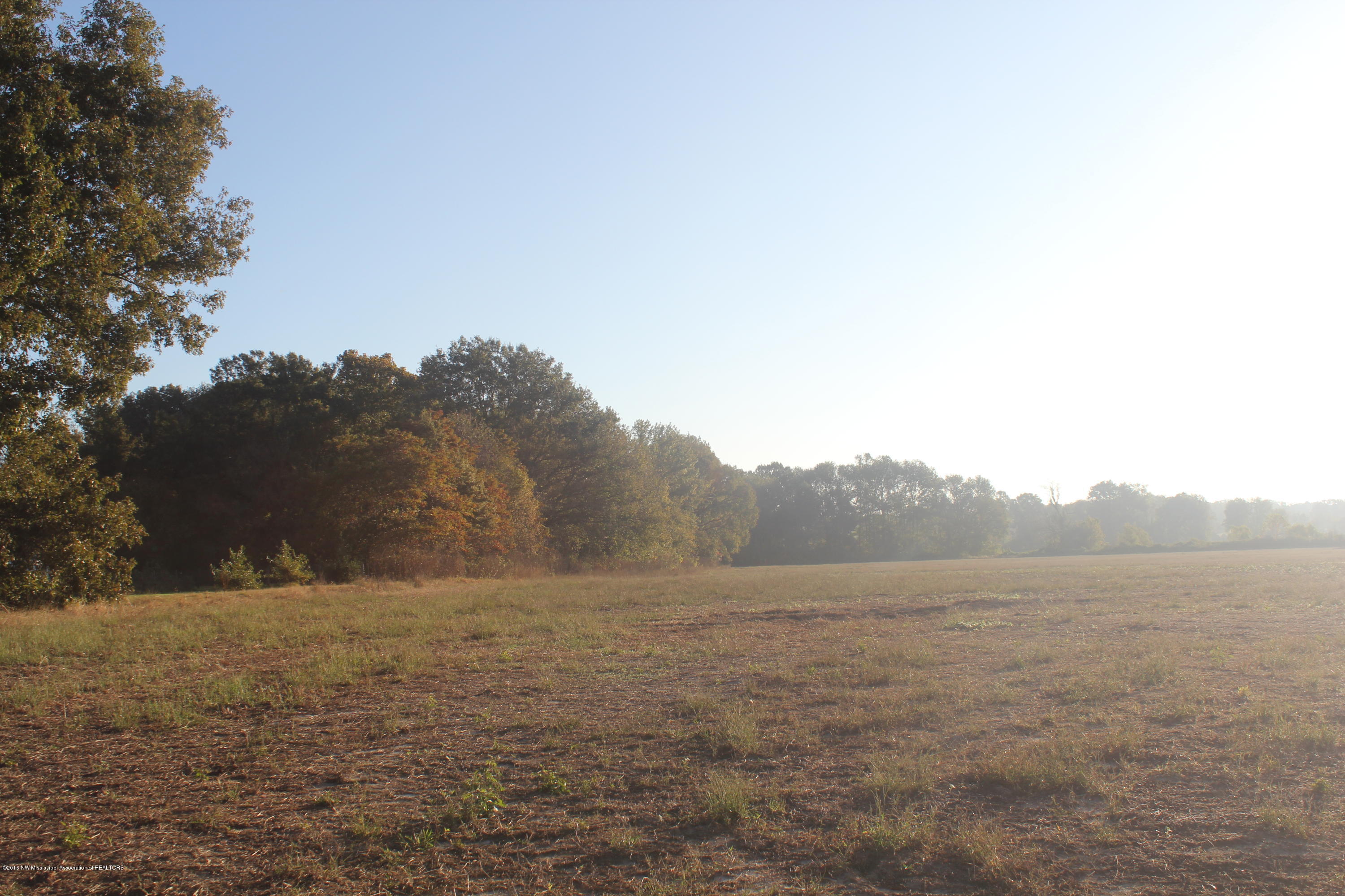 5468 Robertson Gin Road Hernando, MS 38632 - Photo 1 of 8 056