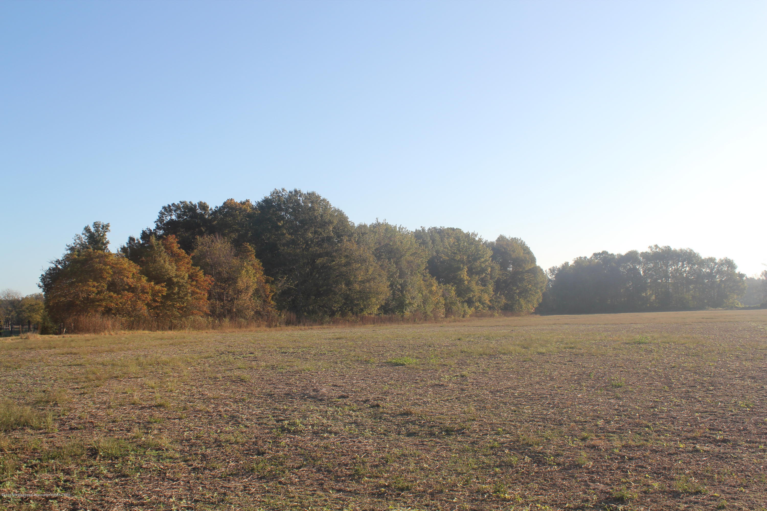 5468 Robertson Gin Road Hernando, MS 38632 - Photo 3 of 8 058