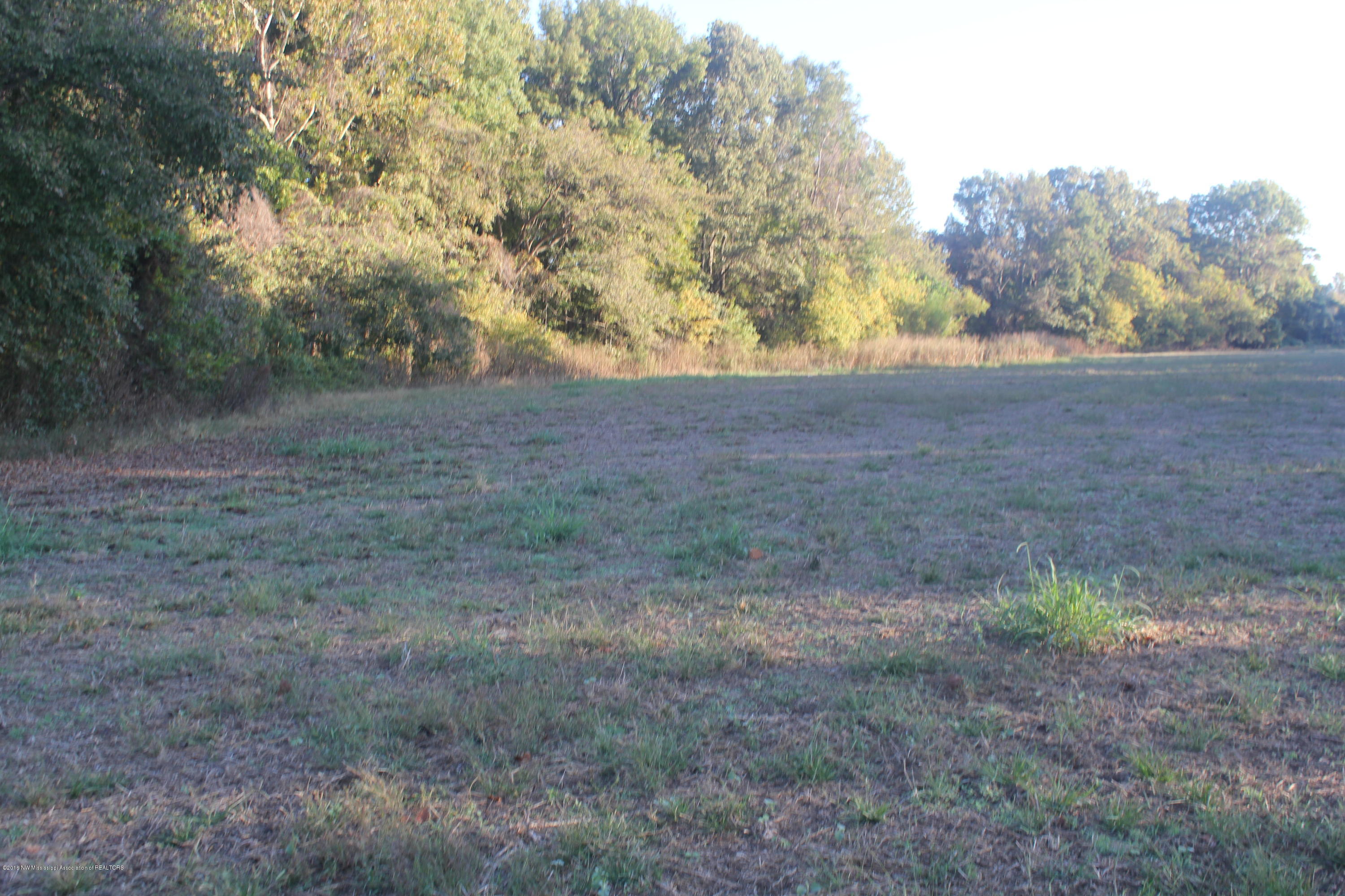 5468 Robertson Gin Road Hernando, MS 38632 - Photo 4 of 8 059