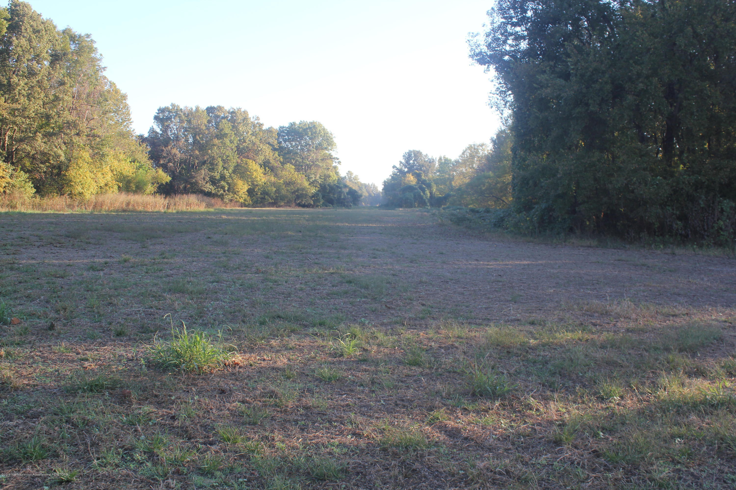 5468 Robertson Gin Road Hernando, MS 38632 - Photo 5 of 8 060