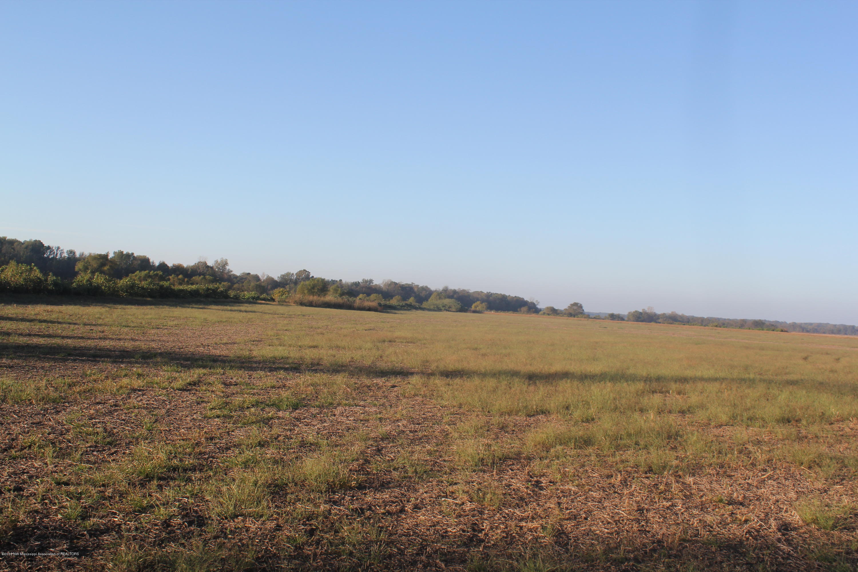 5468 Robertson Gin Road Hernando, MS 38632 - Photo 6 of 8 061