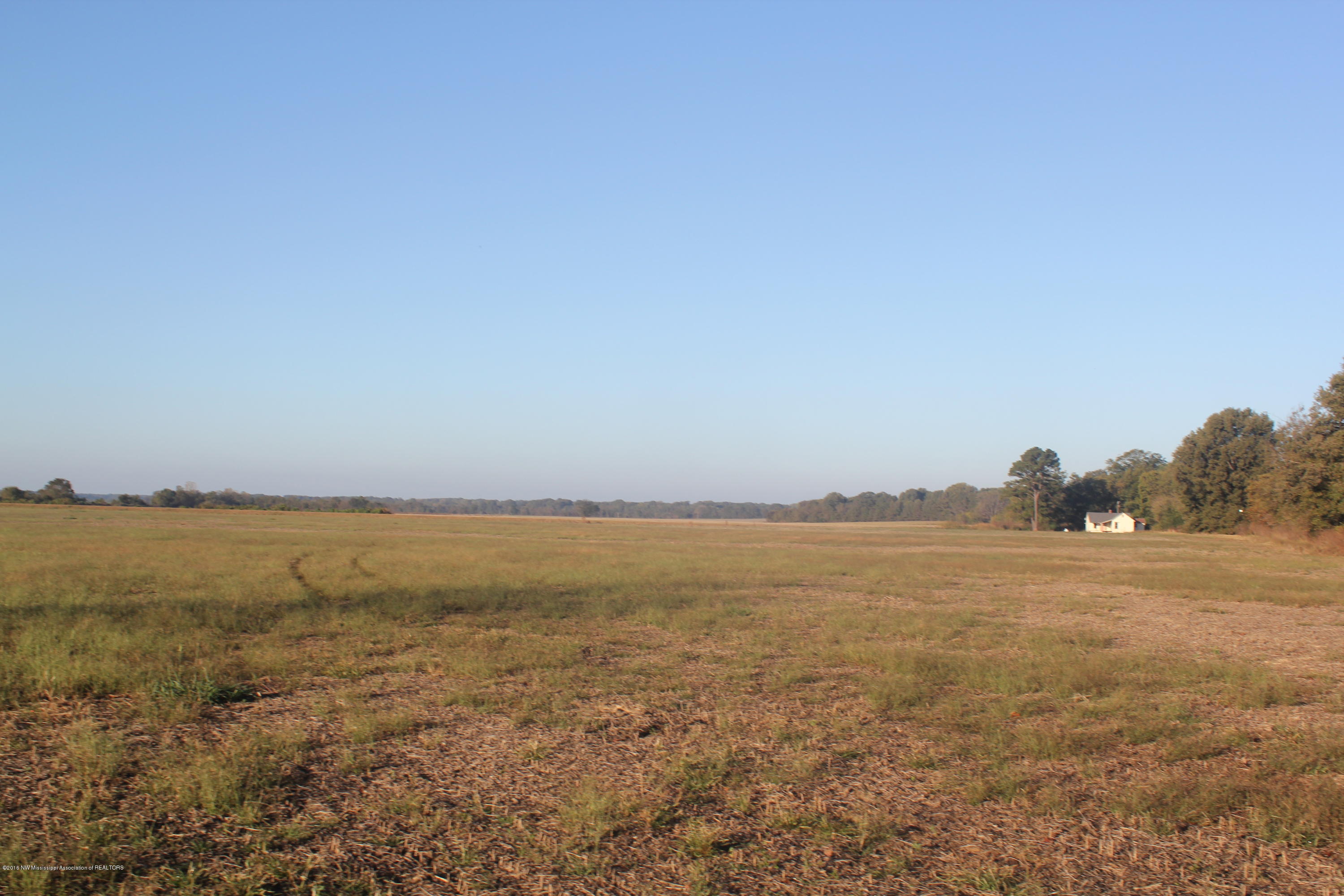 5468 Robertson Gin Road Hernando, MS 38632 - Photo 7 of 8 062