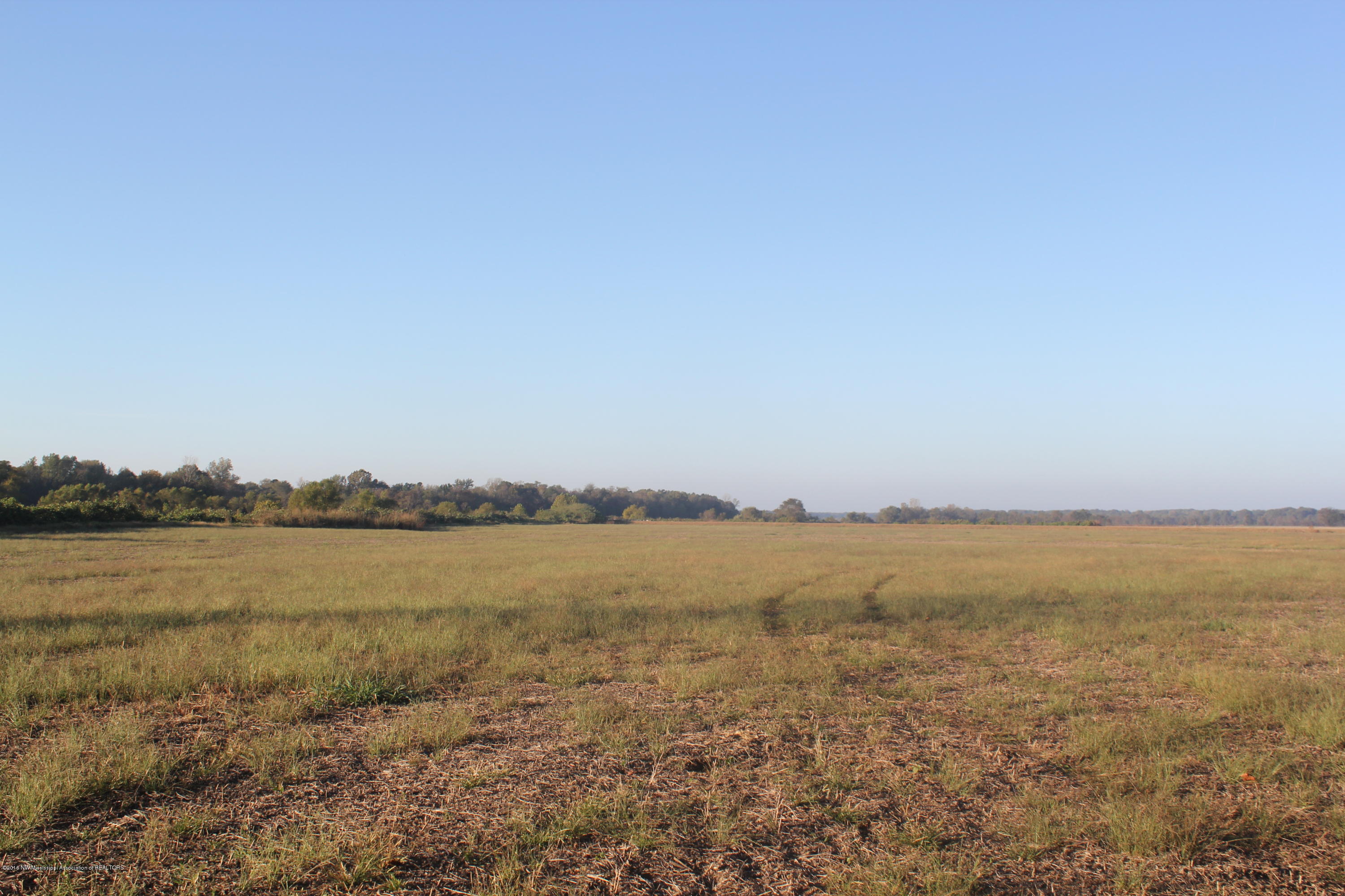 5468 Robertson Gin Road Hernando, MS 38632 - Photo 8 of 8 063