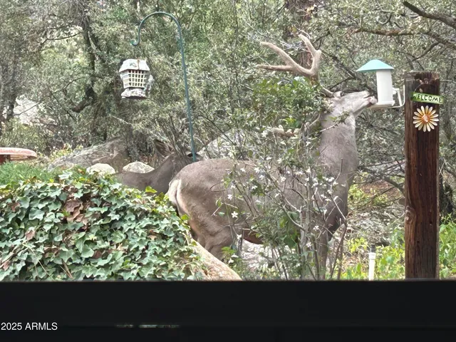 a view of a floor to ceiling window and an outdoor view