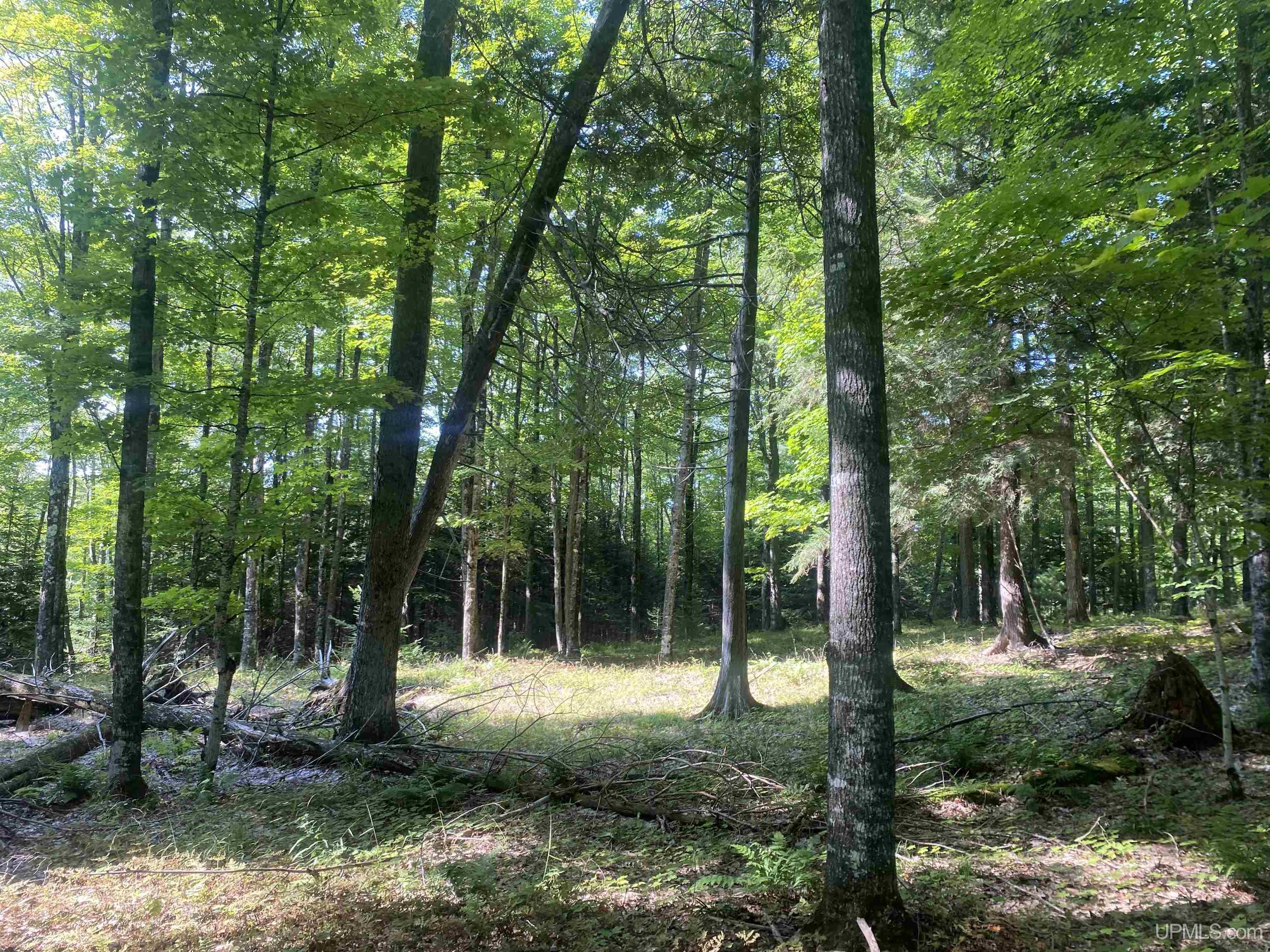 13-14 Grace Lake Road Watersmeet, MI 49969 - Photo 13 of 23