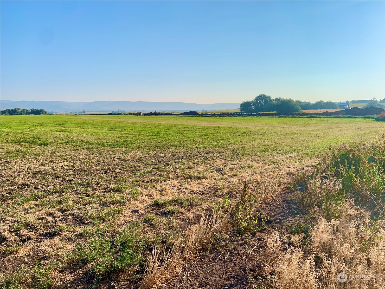 8 X Watson Road Ellensburg, WA 98926 - Photo 8 of 13 Gallery Image 8