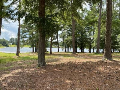 168 Wexford Mill Road Wagener, SC 29164 - Photo 9 of 12 Gallery Image 9
