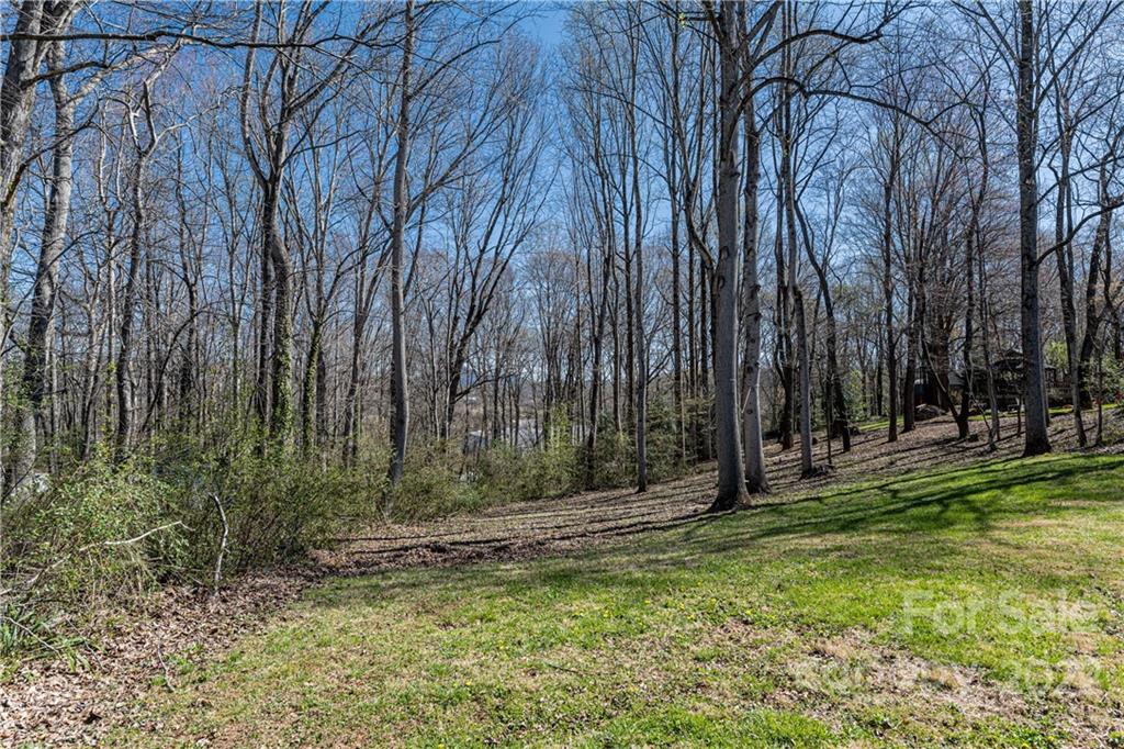 50 Morgan Branch Estate Road Candler, NC 28715 - Photo 32 of 40 Gallery Image 32