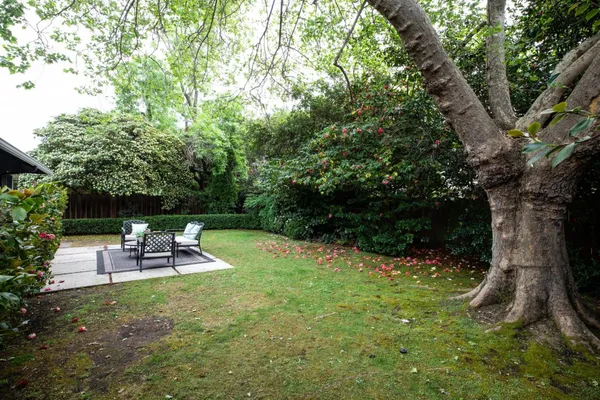 a view of a chairs and table in a backyard