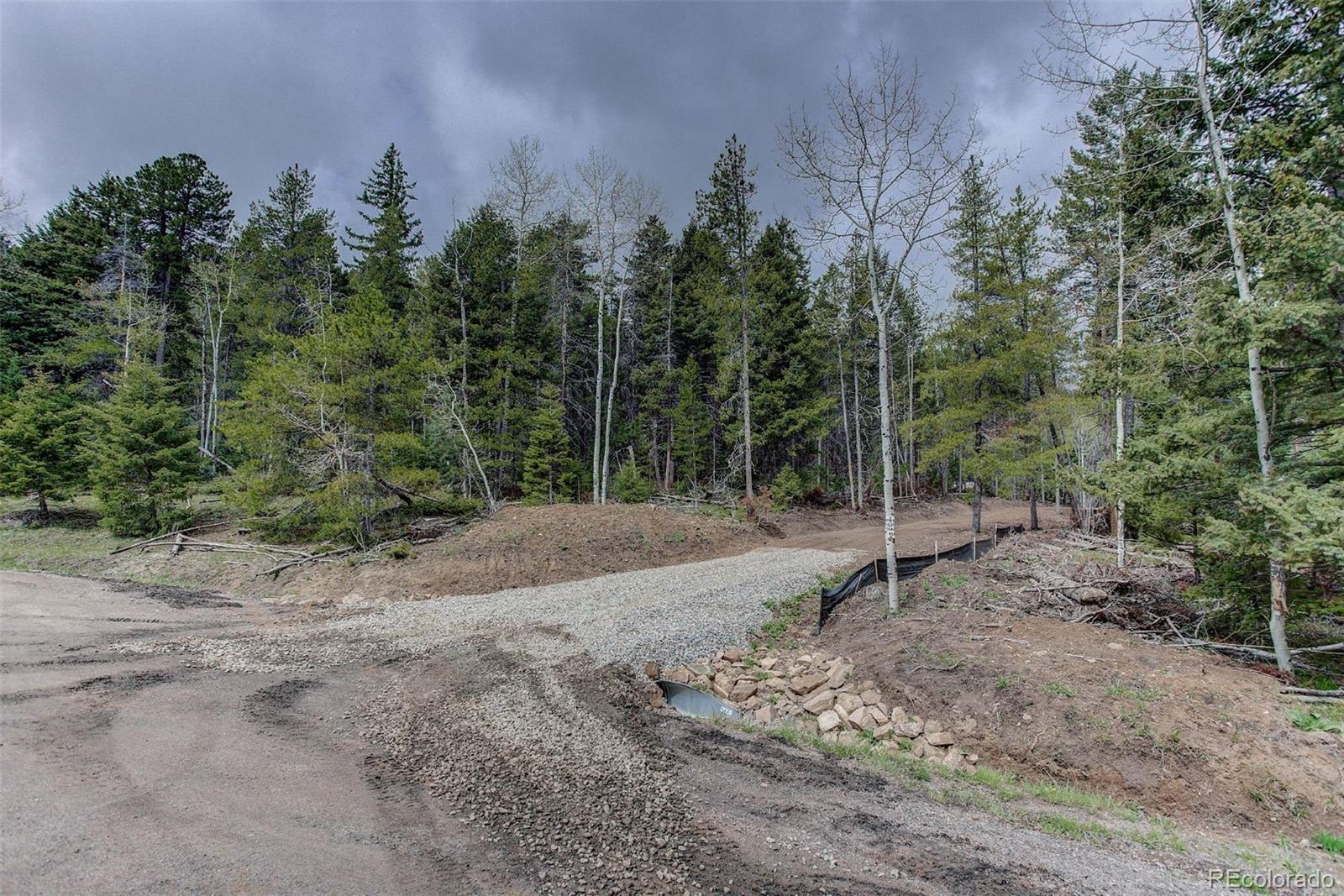 19684 Silver Ranch Road Conifer, CO 80433 - Photo 1 of 18 a backyard of a house with lots of green space