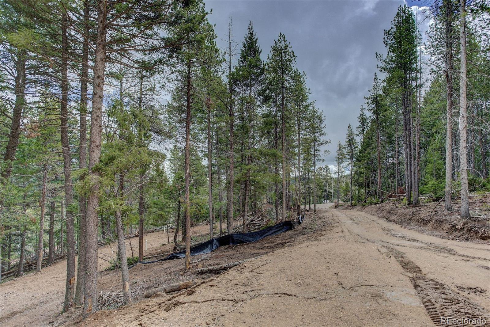 19684 Silver Ranch Road Conifer, CO 80433 - Photo 11 of 18 a view of a forest with trees in the background
