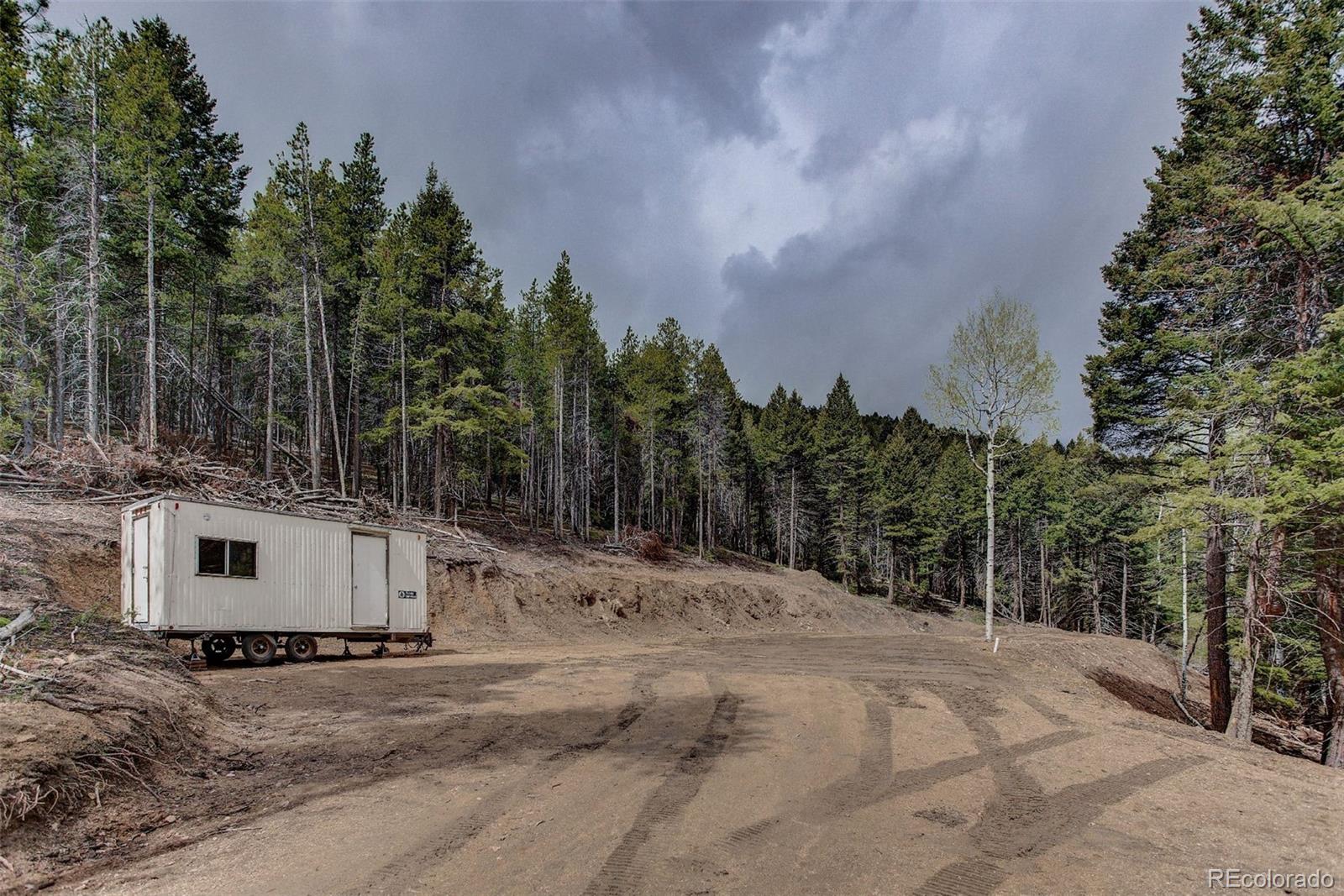 19684 Silver Ranch Road Conifer, CO 80433 - Photo 12 of 18 a view of a dry yard with trees
