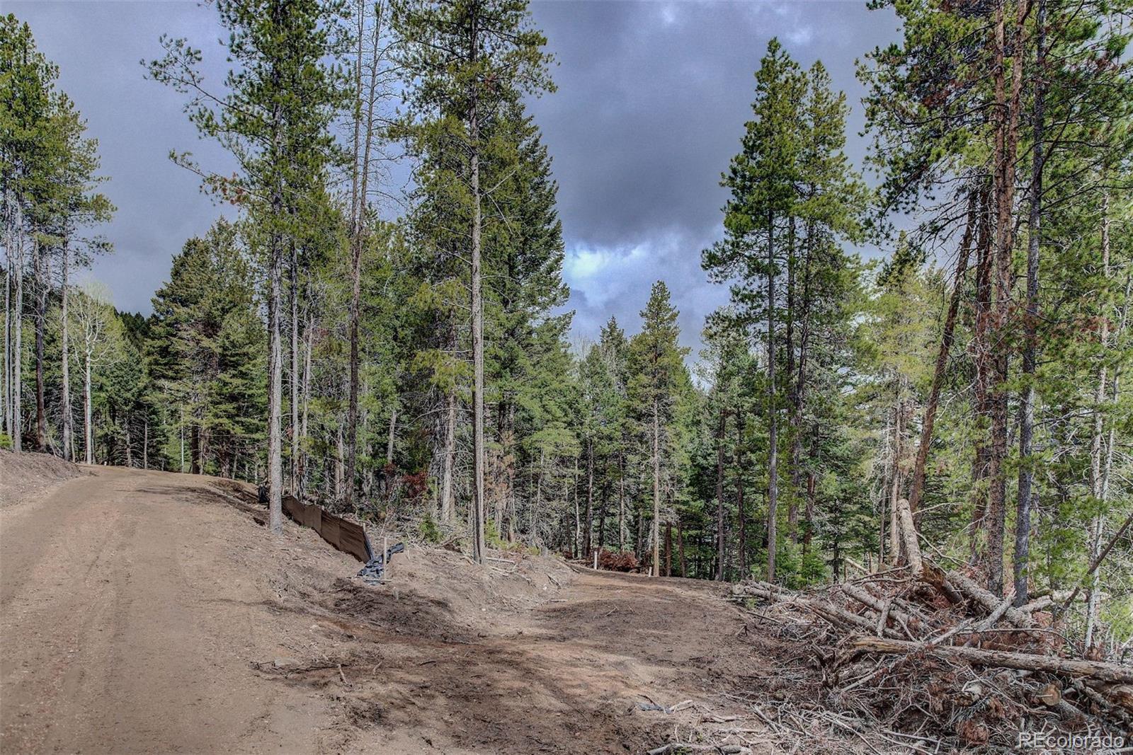 19684 Silver Ranch Road Conifer, CO 80433 - Photo 13 of 18 a view of a forest with trees