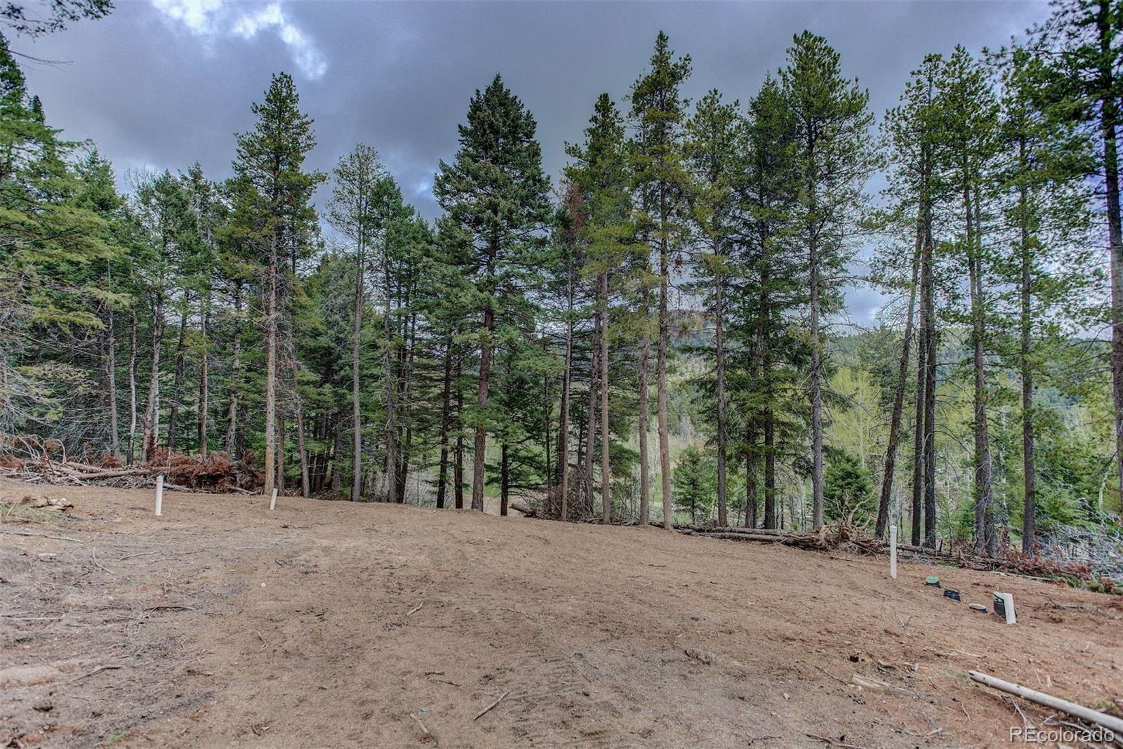 19684 Silver Ranch Road Conifer, CO 80433 - Photo 15 of 18 a view of outdoor space and trees