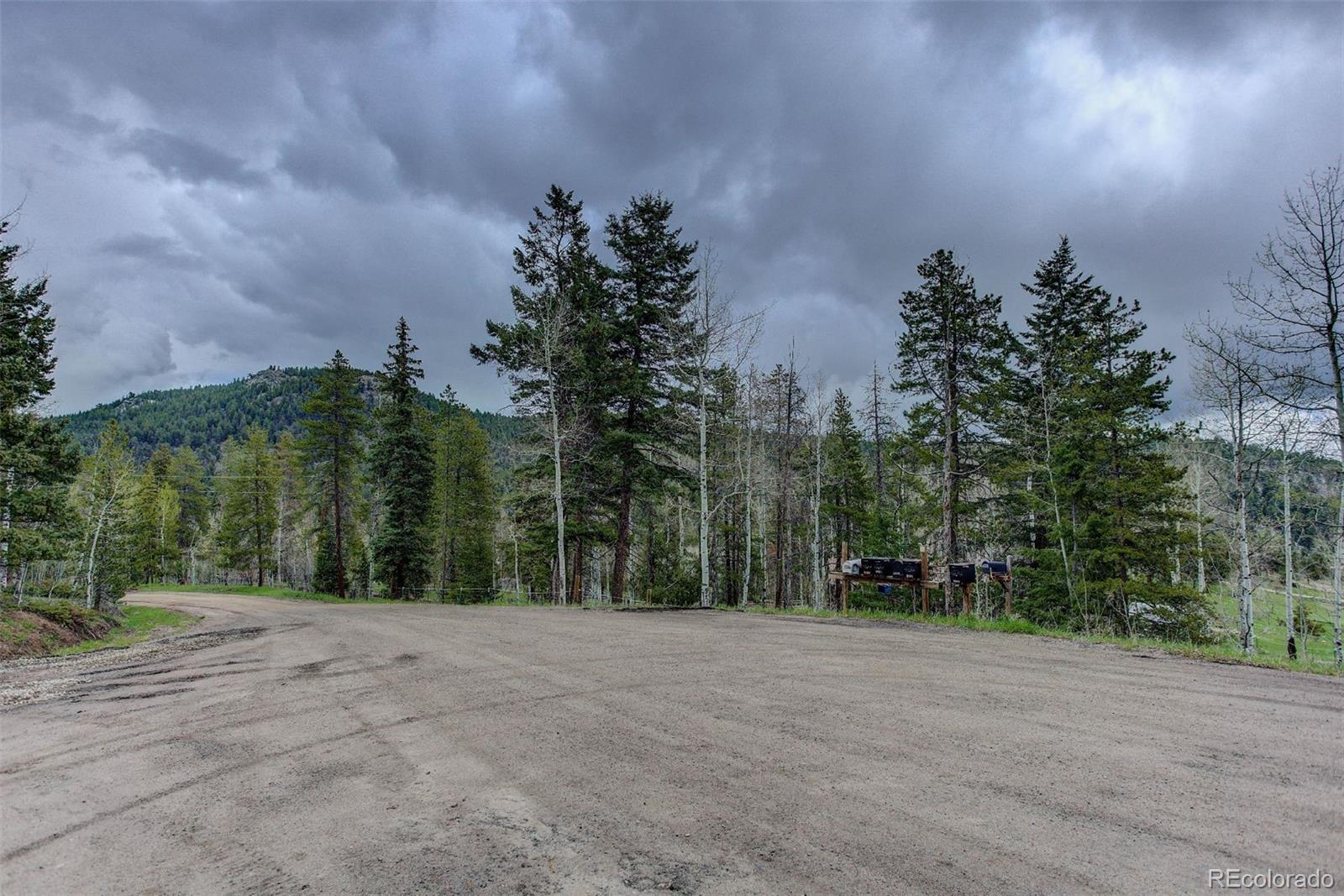 19684 Silver Ranch Road Conifer, CO 80433 - Photo 17 of 18 a view of outdoor space and yard