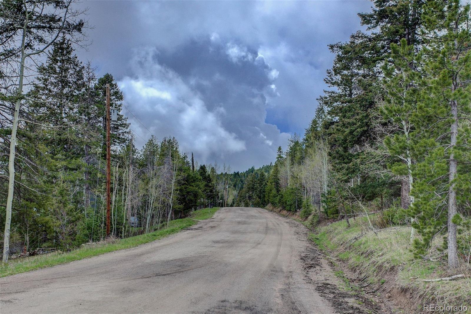 19684 Silver Ranch Road Conifer, CO 80433 - Photo 18 of 18 a view of a road with a trees in the background
