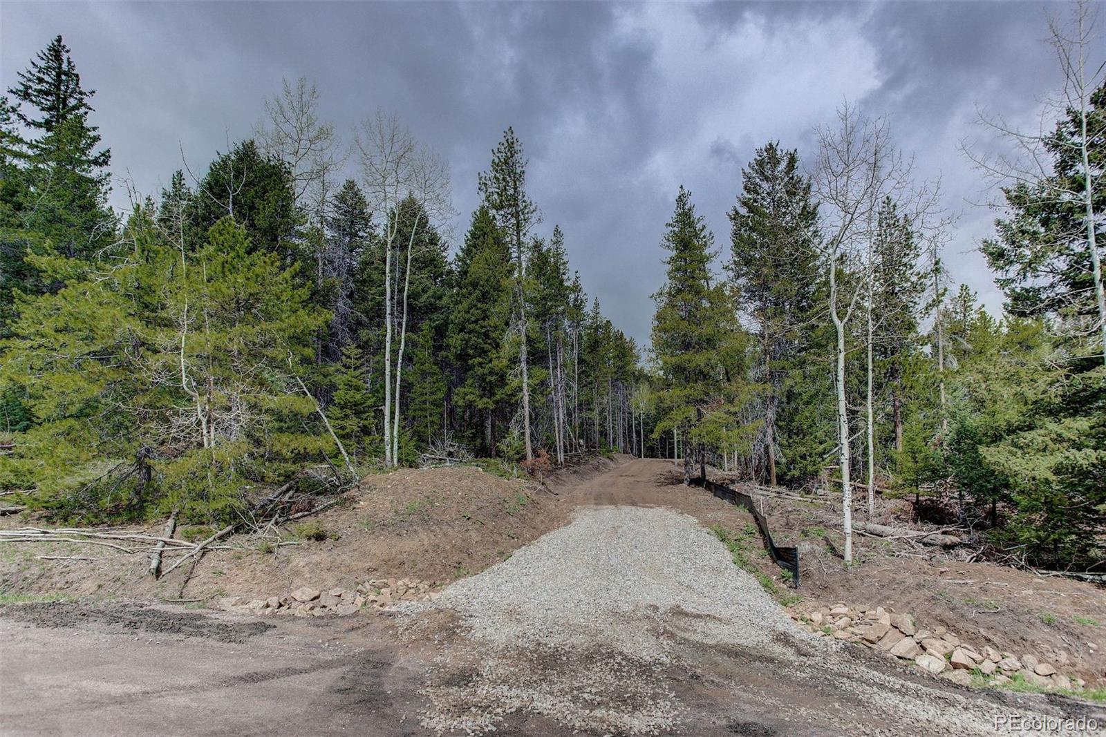 19684 Silver Ranch Road Conifer, CO 80433 - Photo 3 of 18 a view of a dirt road with trees in the background