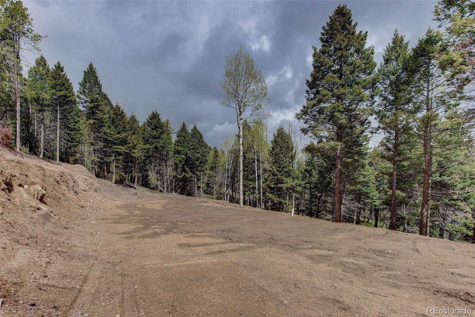 19684 Silver Ranch Road Conifer, CO 80433 - Photo 4 of 18 a view of a road with a trees in the background