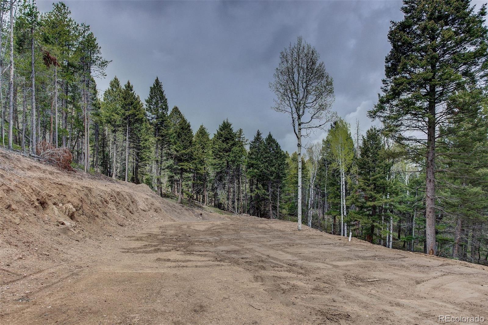 19684 Silver Ranch Road Conifer, CO 80433 - Photo 5 of 18 a view of a backyard of the house