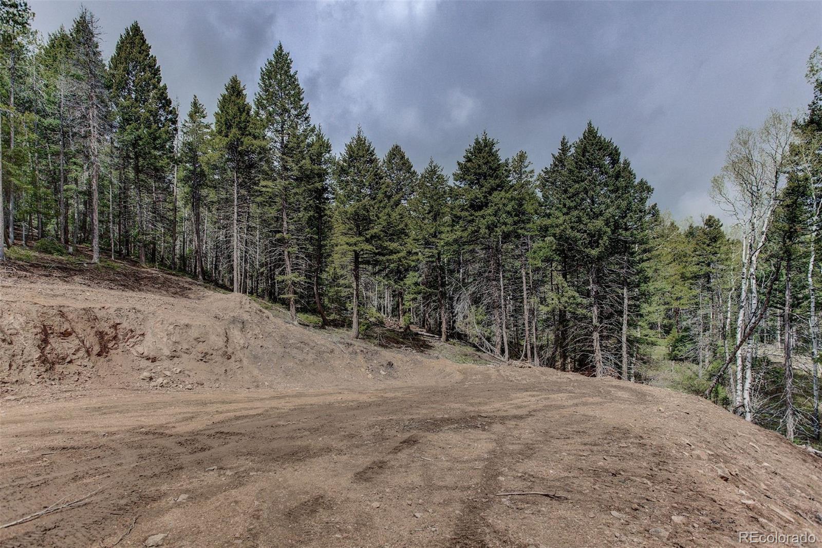19684 Silver Ranch Road Conifer, CO 80433 - Photo 6 of 18 a view of a covered with snow in the background
