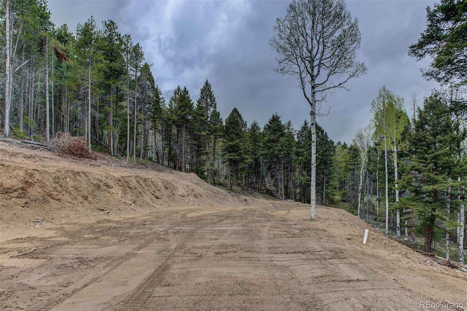 19684 Silver Ranch Road Conifer, CO 80433 - Photo 7 of 18 a view of a backyard of the house