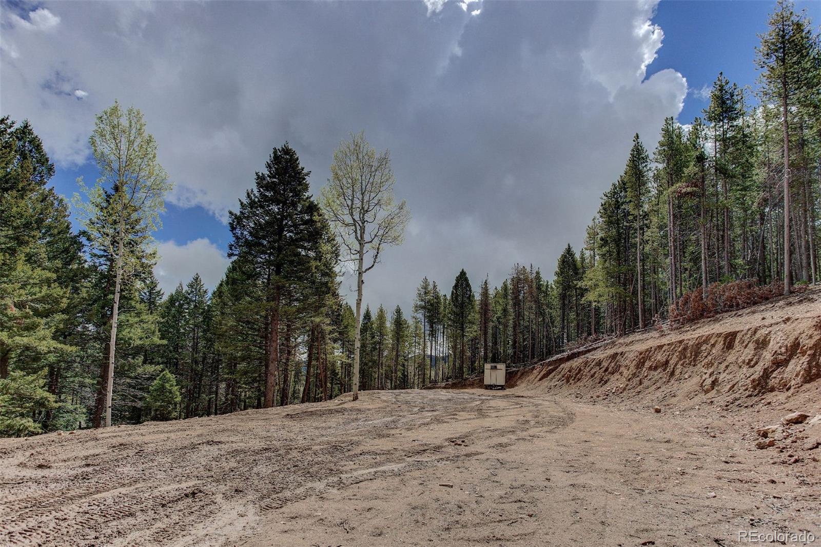19684 Silver Ranch Road Conifer, CO 80433 - Photo 9 of 18 a view of road and trees