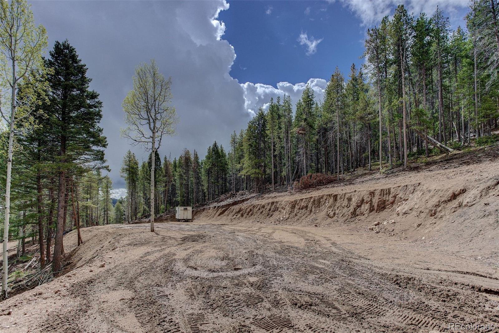 19684 Silver Ranch Road Conifer, CO 80433 - Photo 10 of 18 a view of dirt yard with trees