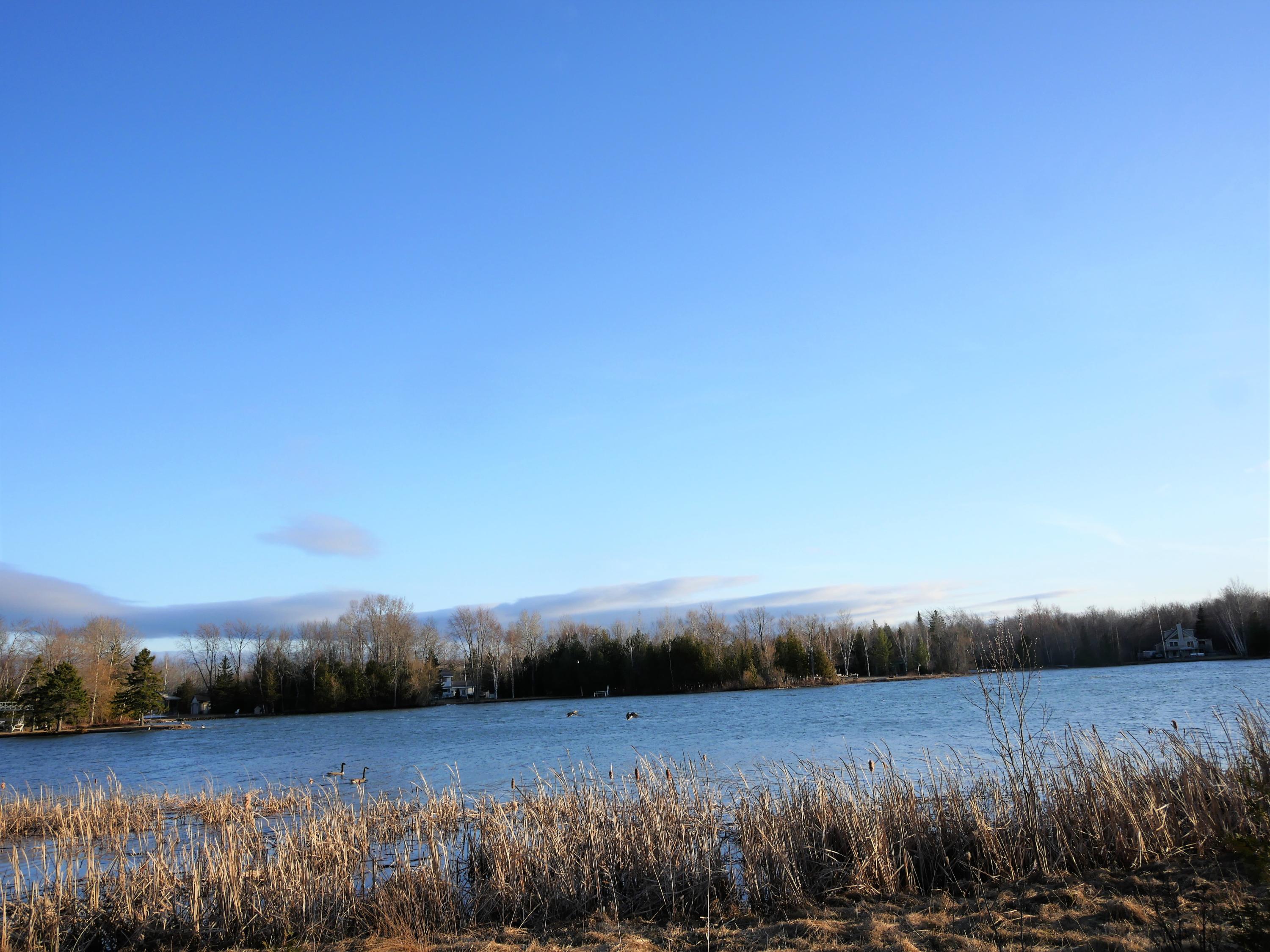 10074 Whiskey Point Road Presque Isle, MI 49777 - Photo 4 of 28 Gallery Image 4