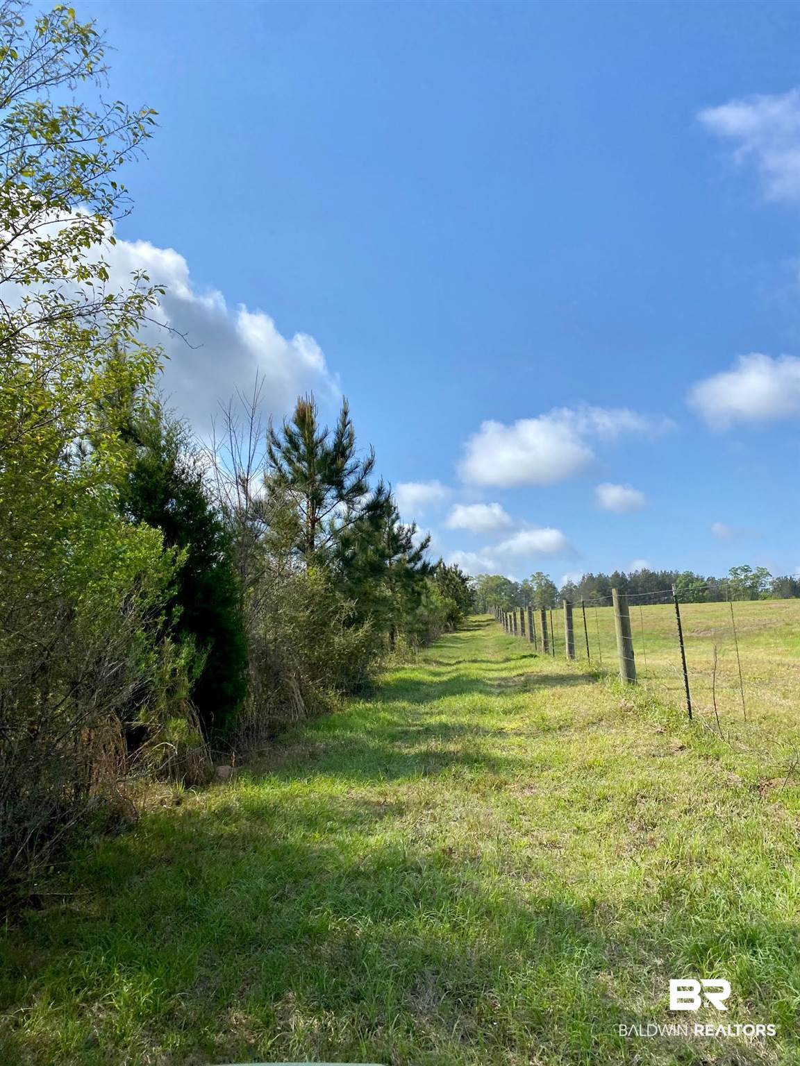 1069 Cemetery Road Range, AL 36473 - Photo 20 of 26