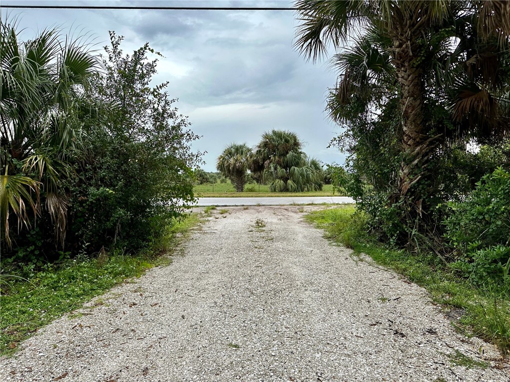 2465 Johnston Road Fort Pierce, FL 34951 - Photo 5 of 17 a view of a yard with plants and large trees
