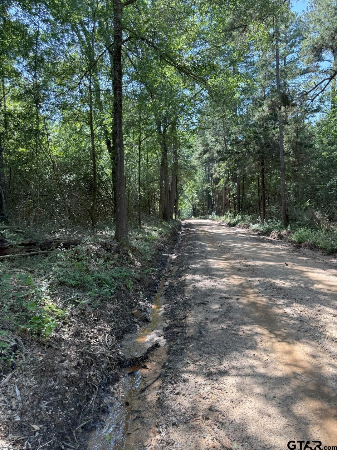 Tbd-g County Road 4021 Timpson, TX 75975 - Photo 4 of 6 a fire hydrant in the middle of a field