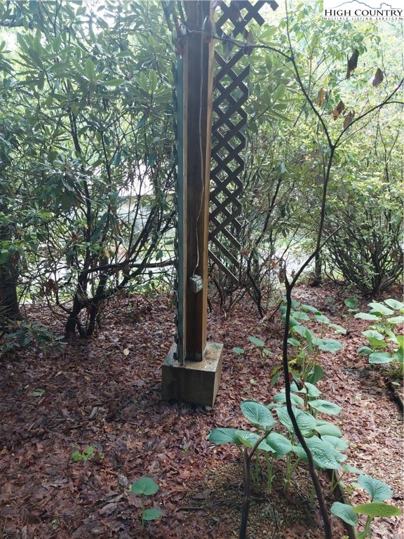 111 Longview Road Newland, NC 28657 - Photo 8 of 35 a view of a forest