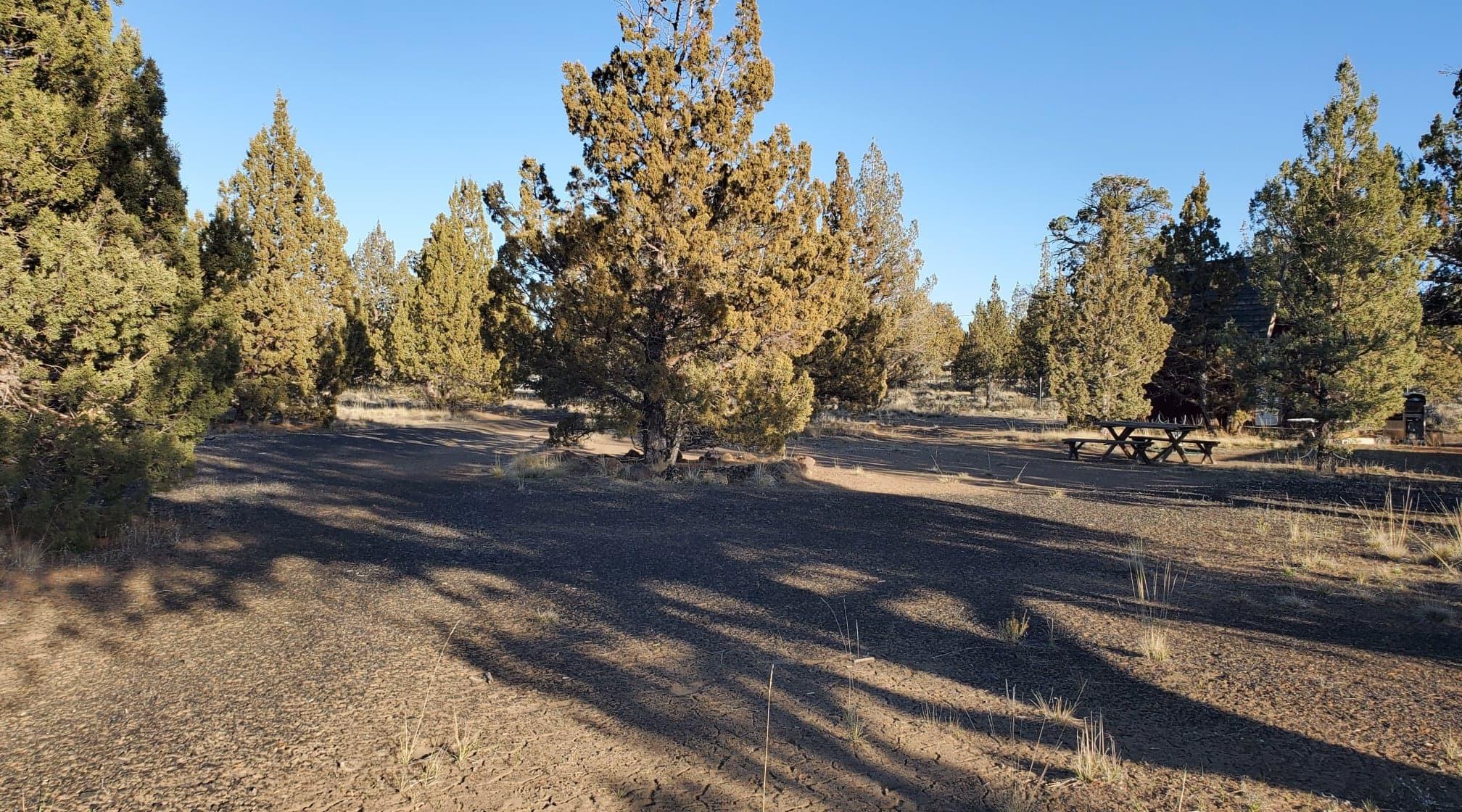Southeast Huron Road Prineville, OR 97754 - Photo 6 of 25 5
