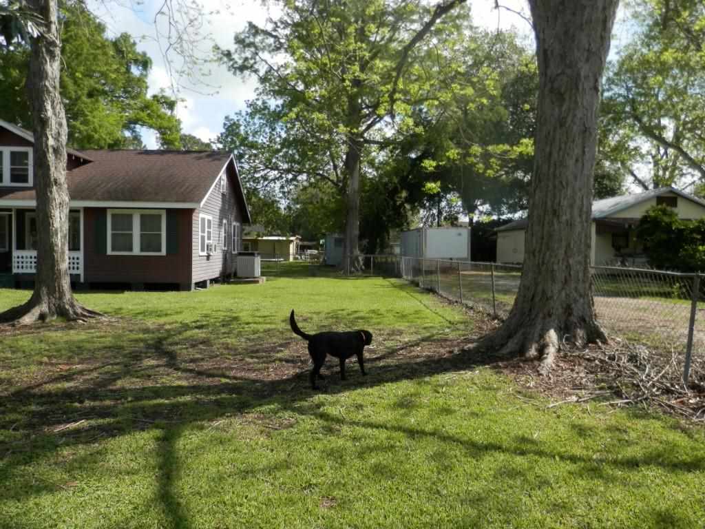 206 Whitley Road Des Allemands, LA 70030 - Photo 9 of 13