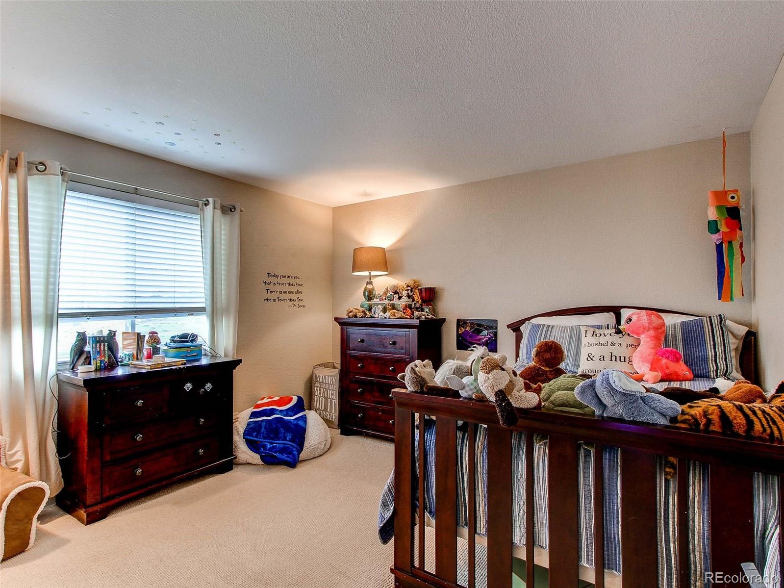 7108 Chestnut Hill Street Highlands Ranch, CO 80130 - Photo 21 of 36 Gallery Image 21