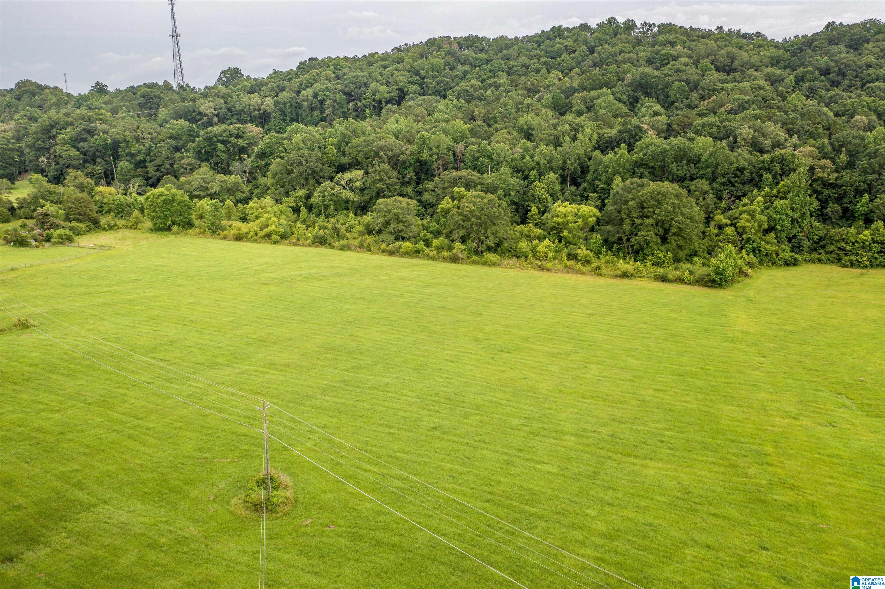 15.35 Spring Road, Unit 15 35 Anniston, AL 36201 - Photo 16 of 18