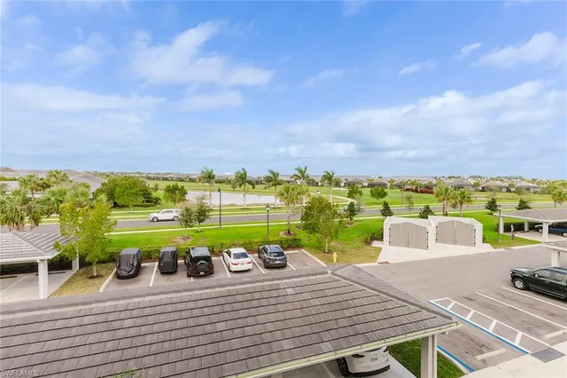 a view of a park with a palm trees
