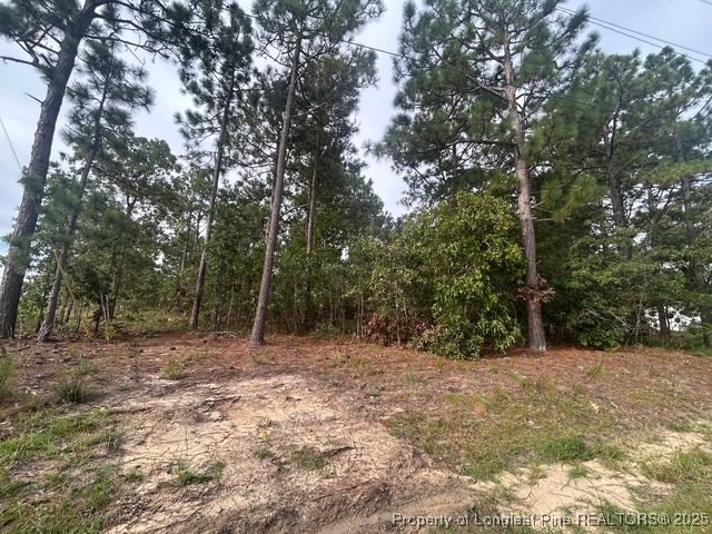 1218-1233 Loop Road Raeford, NC 28376 - Photo 1 of 12 a view of outdoor space with trees