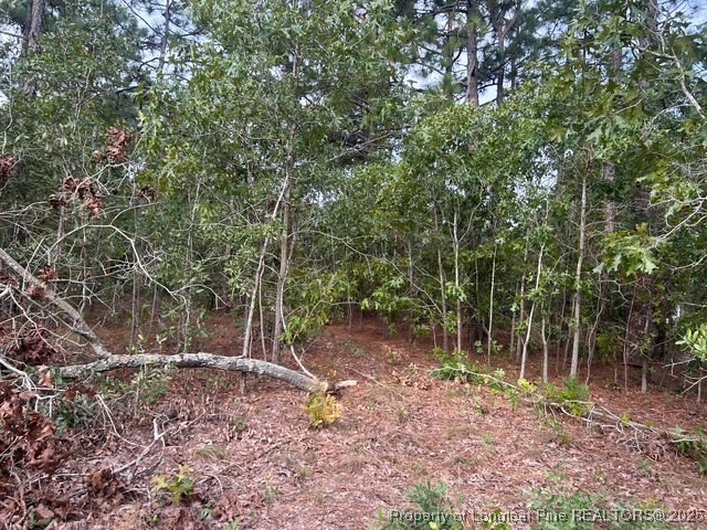 1218-1233 Loop Road Raeford, NC 28376 - Photo 2 of 12 a backyard of a house with lots of plants and large trees